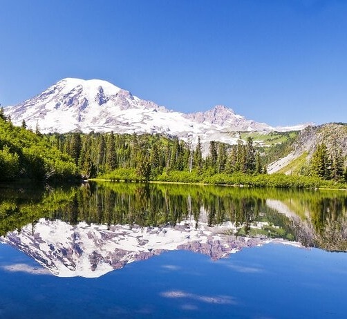 Mount Rainier reflecting in a calm lake surrounded by evergreen forest